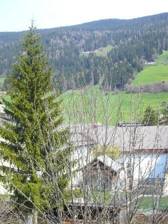 Haus Milli Lägenhet Innichen Exteriör bild